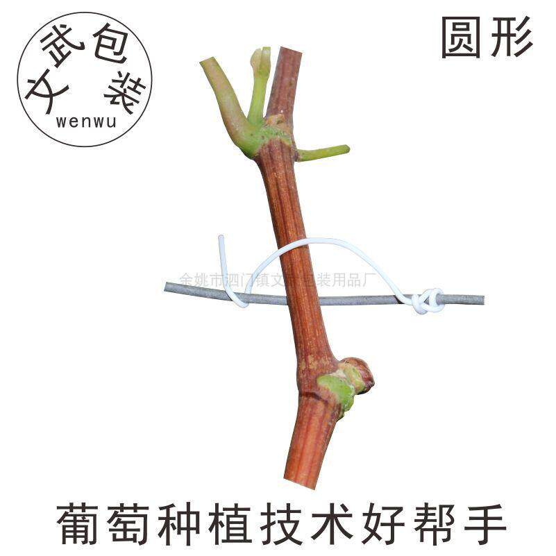 葡萄扎丝省工省时绑无花果火龙果猕猴桃园林园艺枝条铁丝线