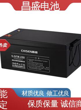 昌盛 6-GFM-250 ups电源 邮电通信系统 工业蓄电池 品质优越