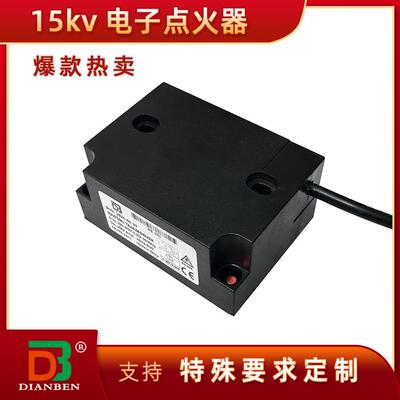 供应高品质15KV点火器高压包燃烧器配件