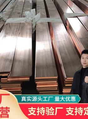 天津国标T1 T2 T3 TMY扁条圆角切割镀锡铜排高导电接地紫铜排制品