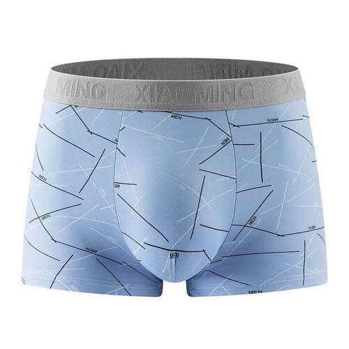 Panties Men Boxers Long Underwear Cotton Man Plus Size Short