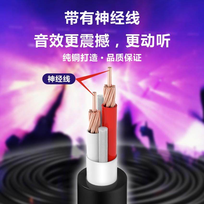 护套线2芯铜芯舞台音响专用线22012A