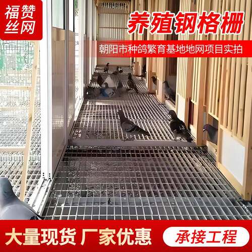 鸽舍底网钢格板漏水漏粪鸟舍钢格栅公棚铺地铁网笼子厂家防滑
