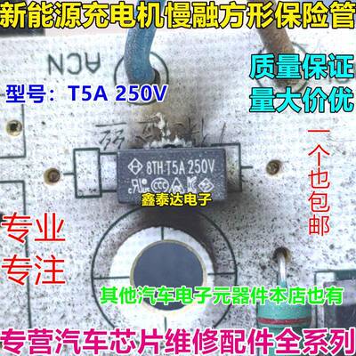 T5A 250V 新能源充电机慢熔方形保险丝管2脚 可直拍 全新原装正品