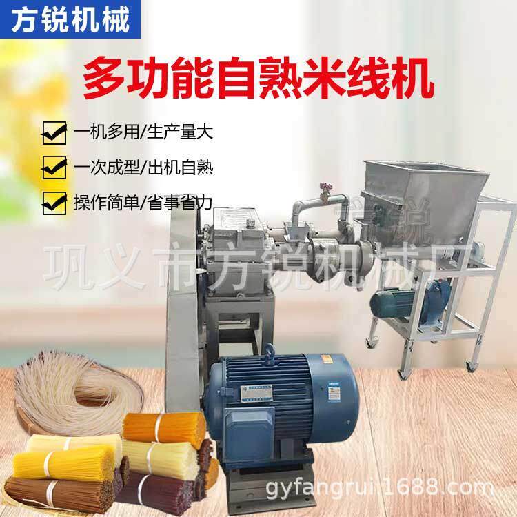 步家 用产自熟一成型米线机 商用米TLN粉年糕机全自动东北面条生