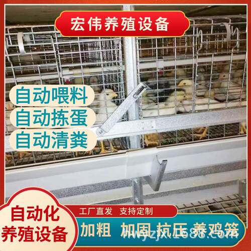 河南养鸡设备厂家自动化蛋鸡养殖设备大型4层立体养鸡铁网篮子