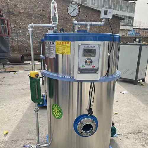 0.1吨0.2汽吨0.吨物0.汽5吨0.7吨生质蒸发生VSW器1吨燃油蒸发生机