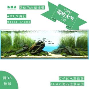 水草造景淡水 艾伦 水草造景 ADA八海石 鱼缸草缸造景素材石头