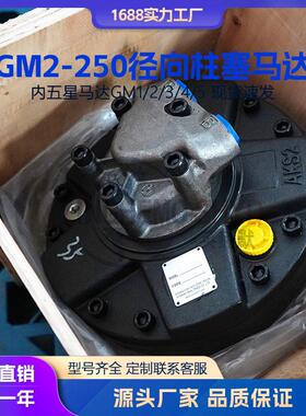 替意大利SAI GM2-250液压马达 速机内五星径向柱塞马达注塑机