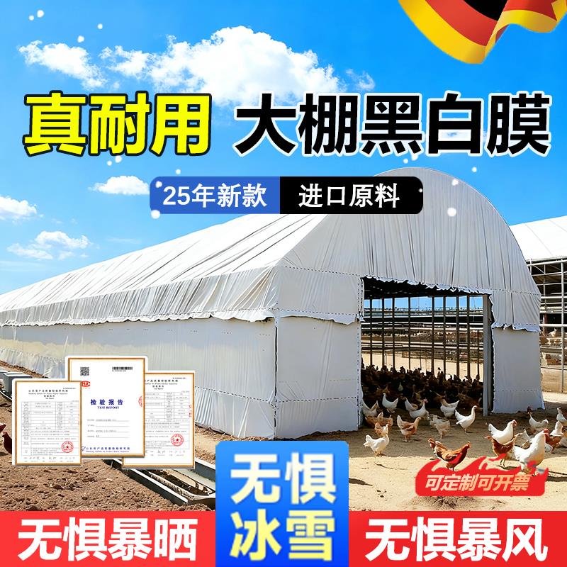 黑白膜防晒隔热黑白膜大棚黑白隔热薄膜养殖大棚专用加厚保温遮阳