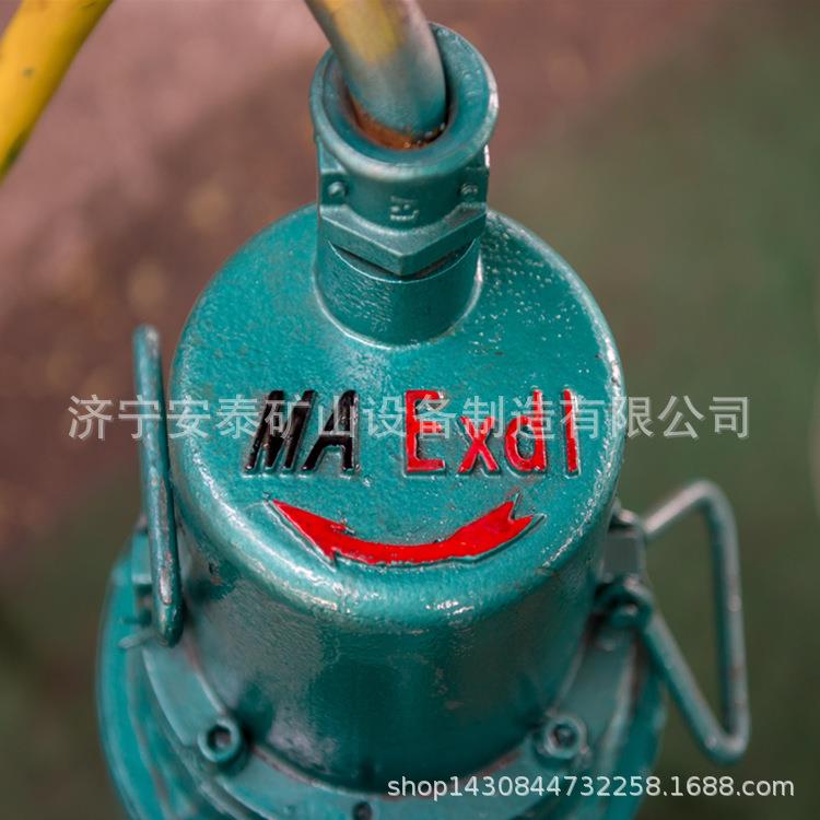 鸡西BQS矿用隔爆型潜水排沙电泵哪家好BQS40-80/2-22/N