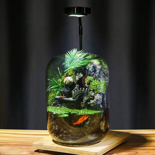 【时来运转】流水款养鱼缸真植物苔藓微景观生态瓶成品室内送礼