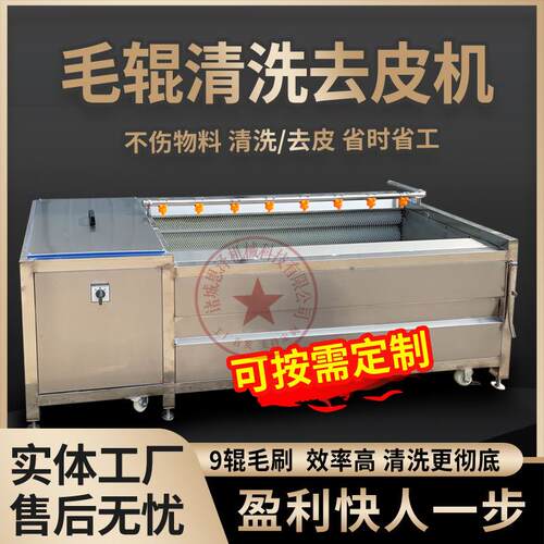 平行毛辊清洗机果蔬清洗机中药材清洗机海蛎子毛辊清洗机