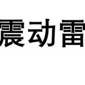 可充电蛙震动雷