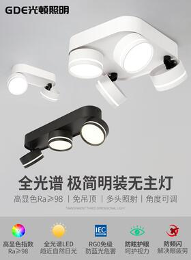 全光谱Led表面安装筒灯多头，双头，三头大胆灯，可调角度客厅家