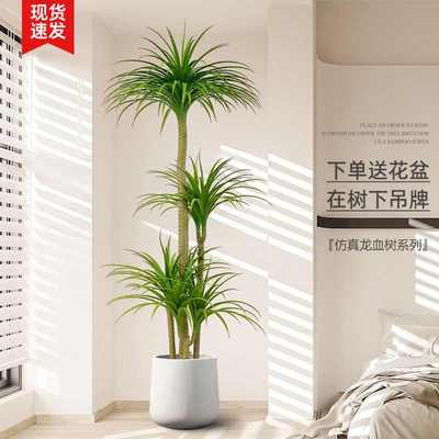 客厅摆件高端大气上档次绿植龙血树仿真轻奢装饰树室内大型盆栽花