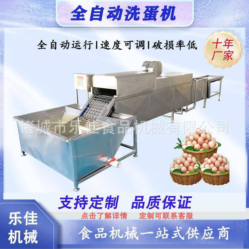 全自动大产量鸡蛋洗蛋机养殖场洗蛋设备皮蛋加工前洗蛋机器