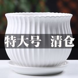 陶瓷花盆带托盘，特大大号创意多肉室内家用吊兰绿萝盆