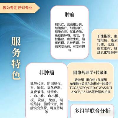 分子动力学模拟 代算 Gromacs Vasp Lammps Gaussian分子对接代做