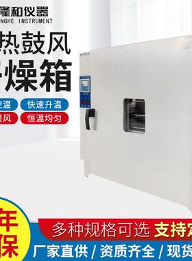 隆和实验室恒温工业高温烘箱电热鼓风干燥箱300℃500℃干燥烘箱