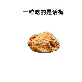 正宗话梅500g九制话梅青梅酸梅话梅干蜜饯酸甜梅咸话梅孕妇零食