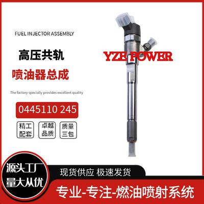 0 445 110 245喷油器总成33800-27400 0445110245适用于现-代起亚