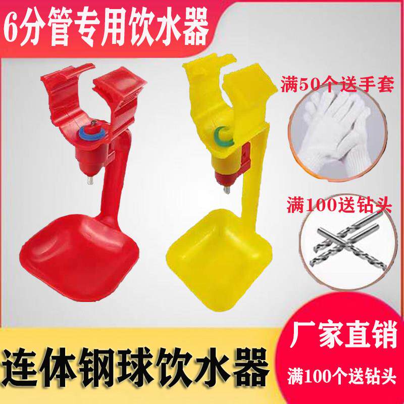 鸡用全自动饮水器钢球连身一体吊杯乳头是鸡用喝水水线 线喂水水