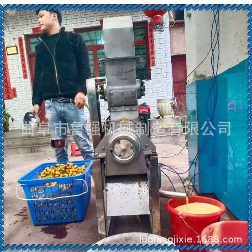 工厂刺梨粉碎榨汁机大型胡萝卜破碎压汁机胡萝卜粉碎机榨汁机