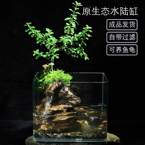 懒人好逸就冯实养真石头造景养鱼龟水缸桌客厅陆茶几高山流水生面