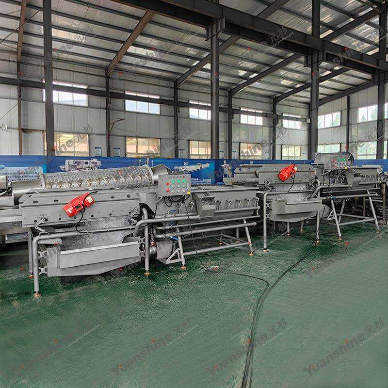 现货旋流清洗机西蓝花荷兰豆清洗机果蔬净菜清洗机