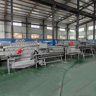 现货旋流清洗机西蓝花荷兰豆清洗机果蔬净菜清洗机