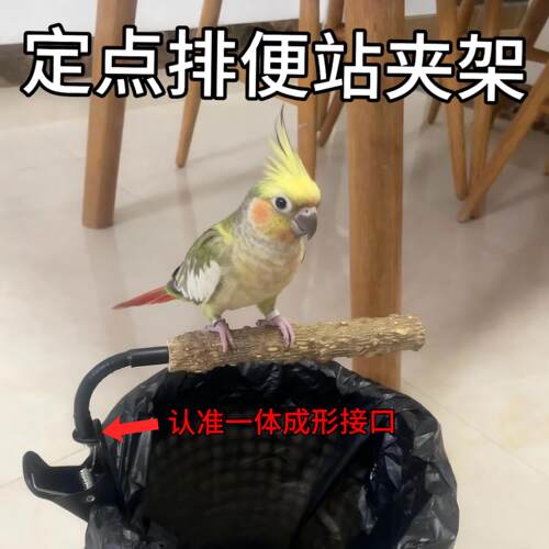 【天猫正品】鹦鹉垃圾桶站杆花椒木站架定点排便拉屎夹子创意拉粑