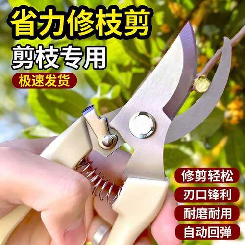 园艺剪修枝剪花剪园林剪刀花艺剪剪树枝果树剪刀枝剪修剪花卉剪子