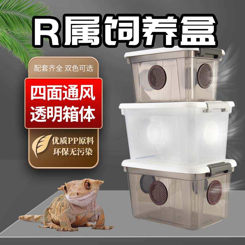爬宠睫角守宫饲养箱爬虫防逃逸R属豹纹巨人透气通风蜘蛛角蛙饲养