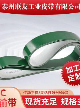 直销PVC轻型绿色无缝环形输送带流水线 线专用平皮带输送带爬坡带