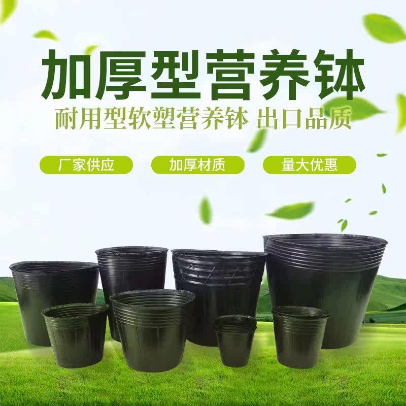 加厚一次性营养钵花卉育苗杯花盆农用大号育苗袋塑料黑色多肉花盆