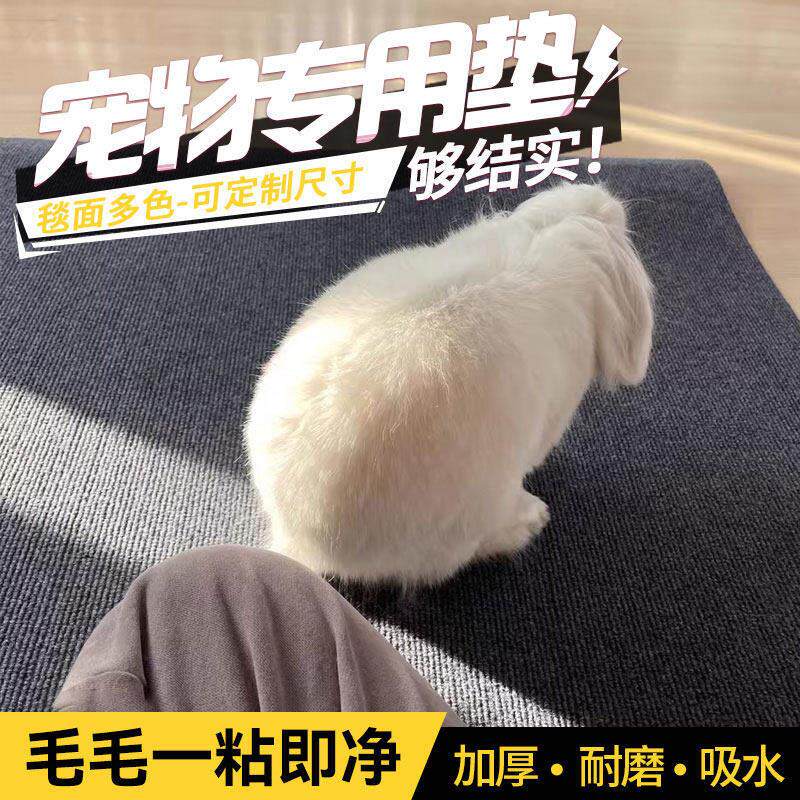 兔子地垫宠物用加厚耐磨耐抓耐撕咬防水防尿防滑隔凉垫子猫咪睡垫