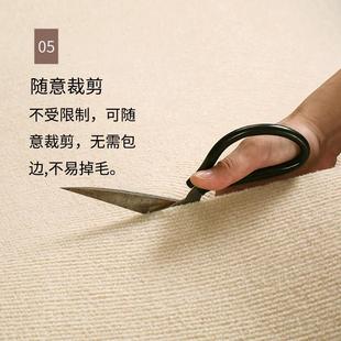 整卷地毯家用加厚大面积办公室卧室房间水泥地摄影棚拍照地毯素色
