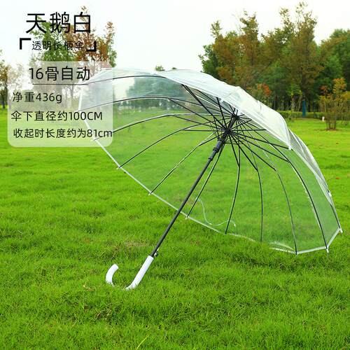 logo女学生清新透明长柄雨伞伞坐