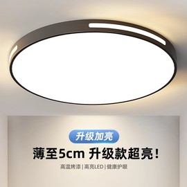 2024主卧室灯LED吸顶灯圆形阳台灯现代大气客厅房间简约灯具