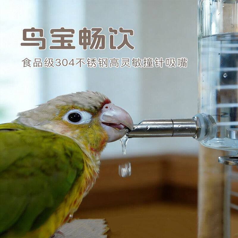 悬挂式加厚玻璃食盆水壶虎皮牡丹玄凤鹦鹉稳固磁吸饮水食碗