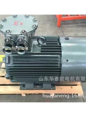 YH-355M2-4-250电机替代兰州电机YSF电机V1安装带防雨罩户外用