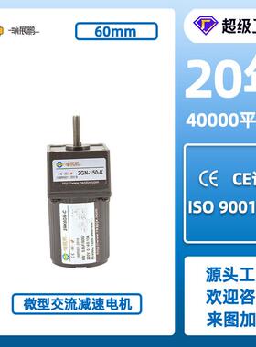 60型微型齿轮减速机6W10W减速电机单相220V三相380可调速异步马达