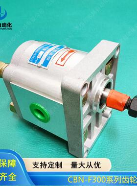 齿轮泵BN-F25-CLPCBN--F304C-ALPCBN-F306-ALPCBNF308-AL443P