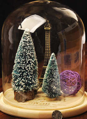 diy景观花瓶微观新奇特景观 mxmade玻璃罩玻璃罩微创意