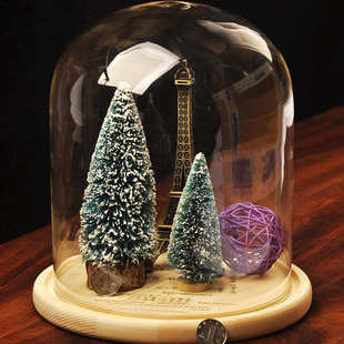 mxmade创意玻璃景观罩 DIY微观玻璃罩 微景观花瓶新奇特