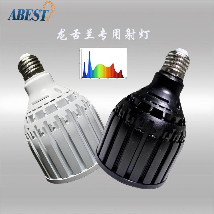 龙舌兰仙人球专用补光灯全光谱植物生长灯40W块根多肉室内补光灯