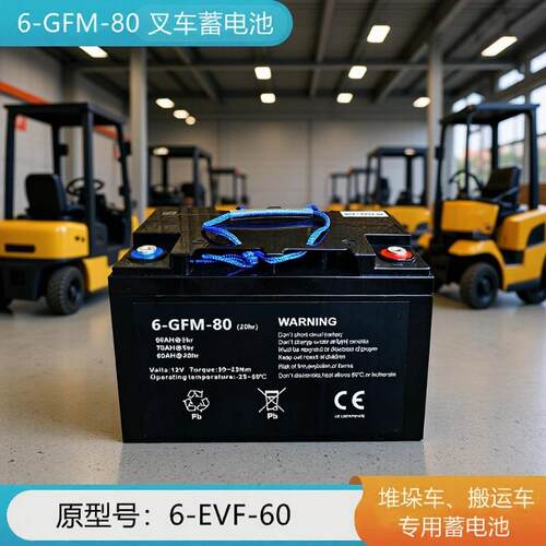 中力6GFM80蓄电池6EVF60托盘搬运车叉车地牛车12V75AH电瓶