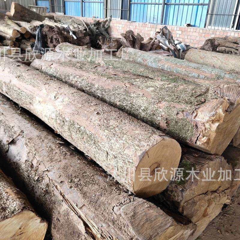 四川产地金丝楠木原材料 小叶桢楠阴沉木原木料 乌木木材