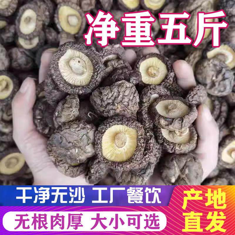 新货无根庆元小香菇厚菇干 干货剪脚冬菇食堂饭店餐饮商用散装5斤